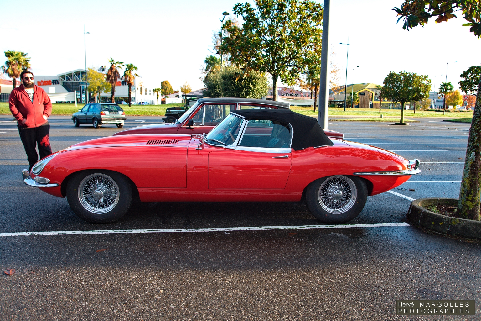 Jaguar Type E_04.jpg